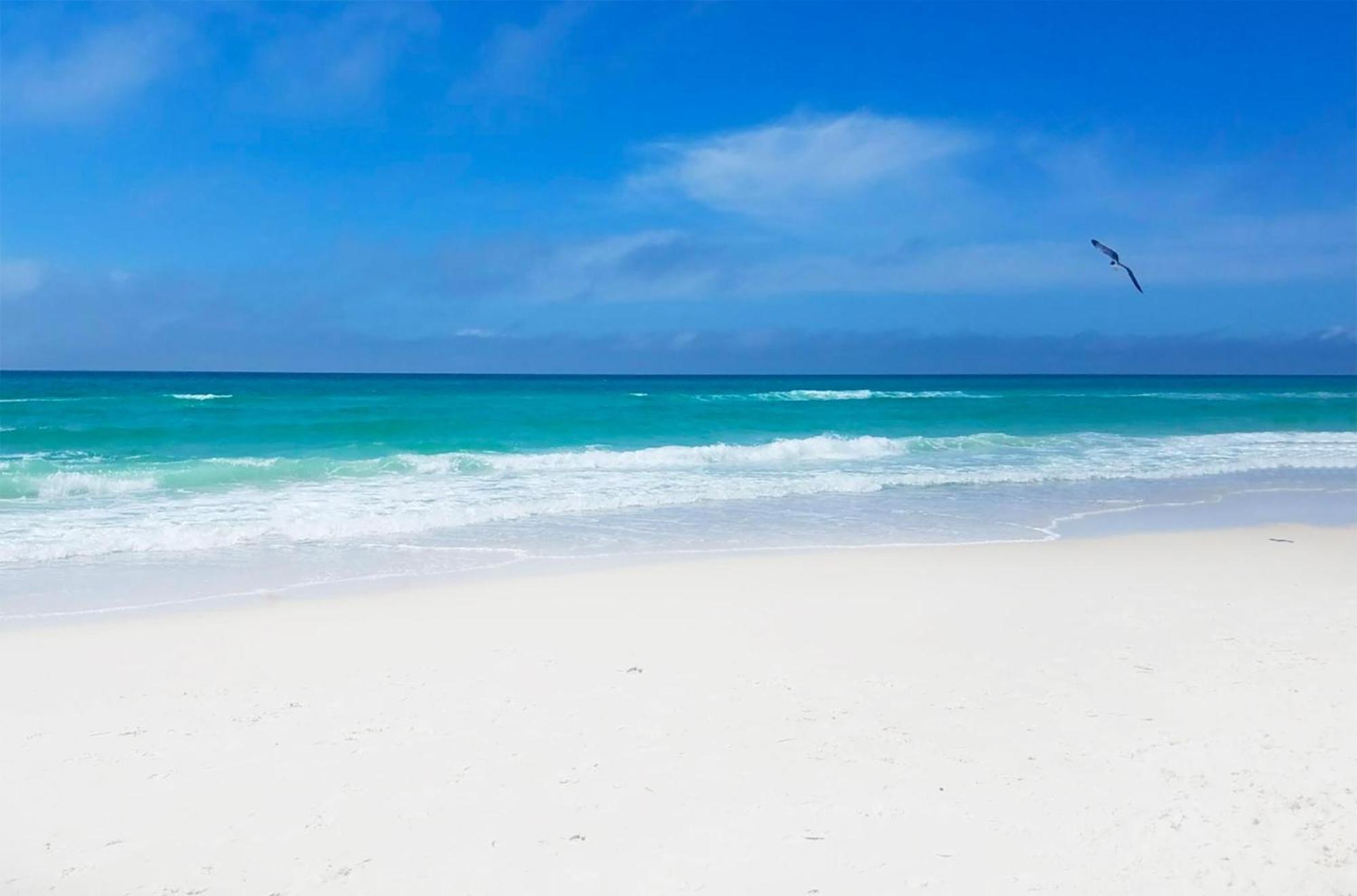 Twin Palms 804 Διαμέρισμα Panama City Beach Εξωτερικό φωτογραφία
